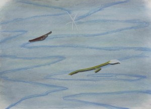http://www.aishachristison.com/files/gimgs/th-26_Water-scene-with-flower-and-leaf-dry-pastel-on-paper-65x90cm-2018.jpg